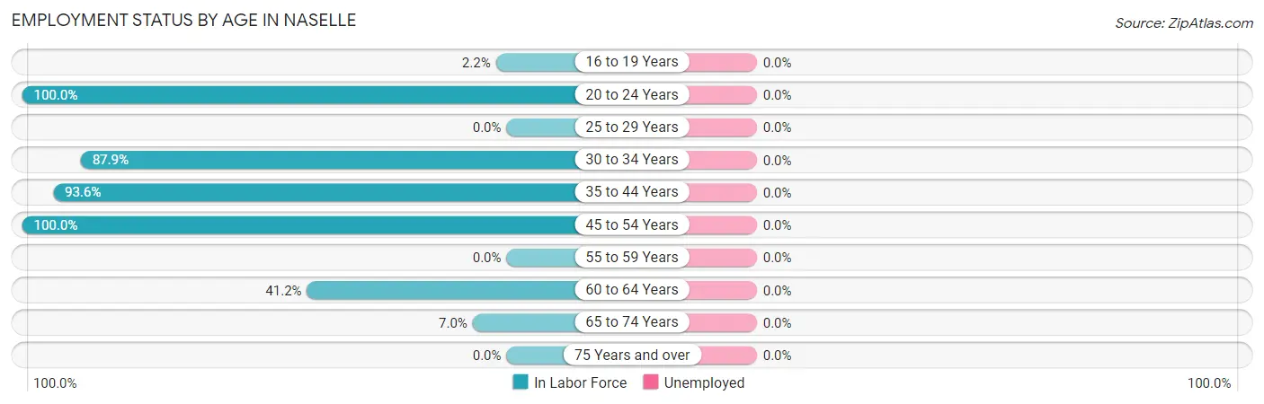 Employment Status by Age in Naselle