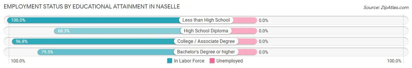 Employment Status by Educational Attainment in Naselle