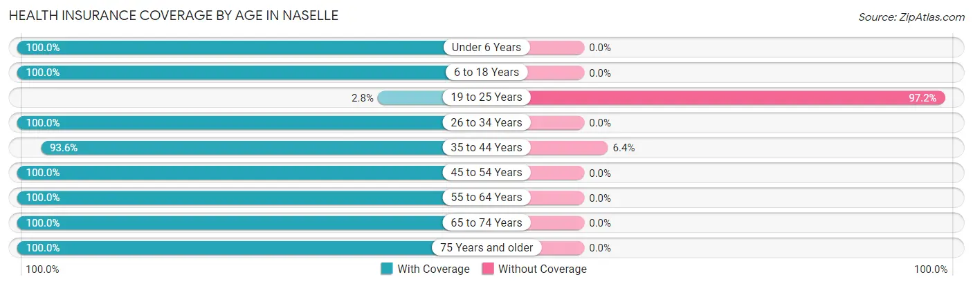 Health Insurance Coverage by Age in Naselle