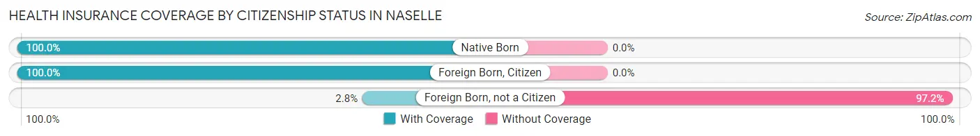 Health Insurance Coverage by Citizenship Status in Naselle