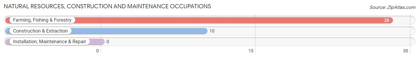 Natural Resources, Construction and Maintenance Occupations in Neilton