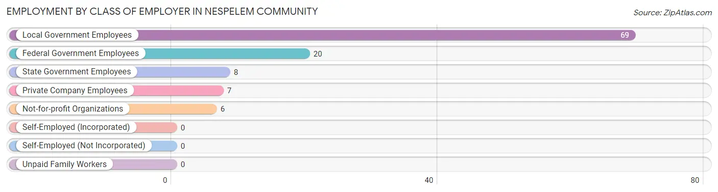 Employment by Class of Employer in Nespelem Community