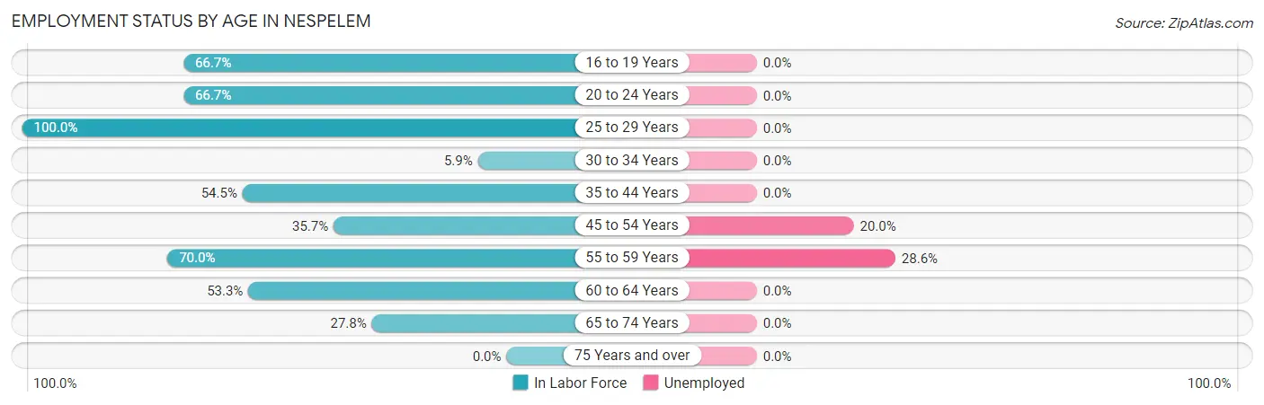 Employment Status by Age in Nespelem