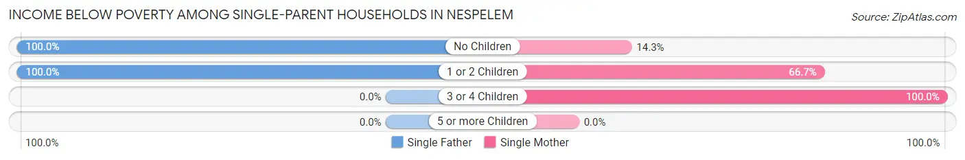 Income Below Poverty Among Single-Parent Households in Nespelem