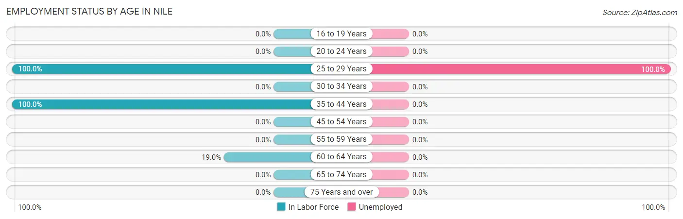 Employment Status by Age in Nile
