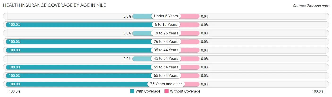 Health Insurance Coverage by Age in Nile