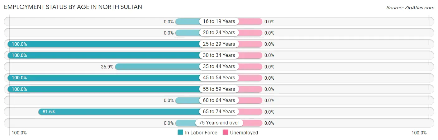 Employment Status by Age in North Sultan