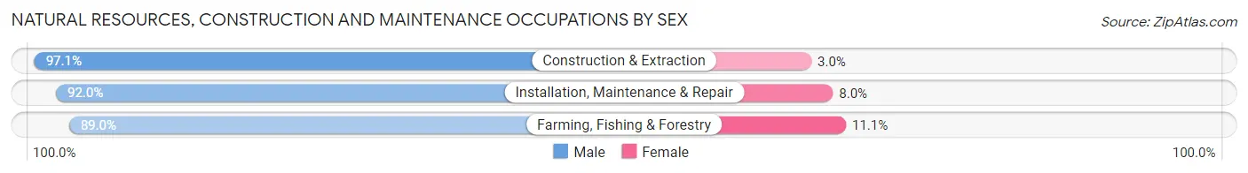 Natural Resources, Construction and Maintenance Occupations by Sex in Orchards