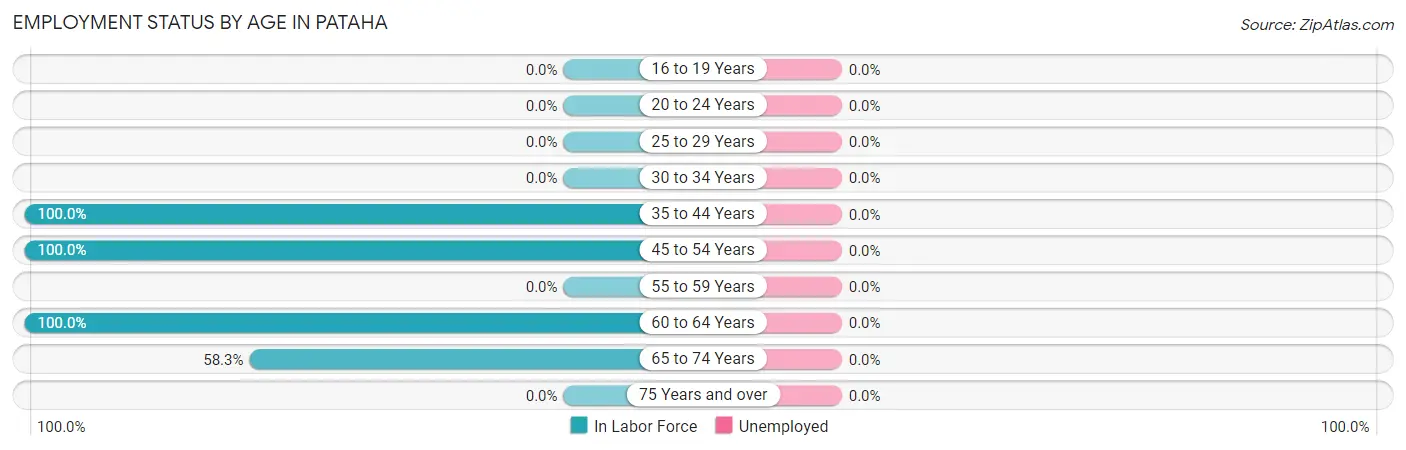 Employment Status by Age in Pataha
