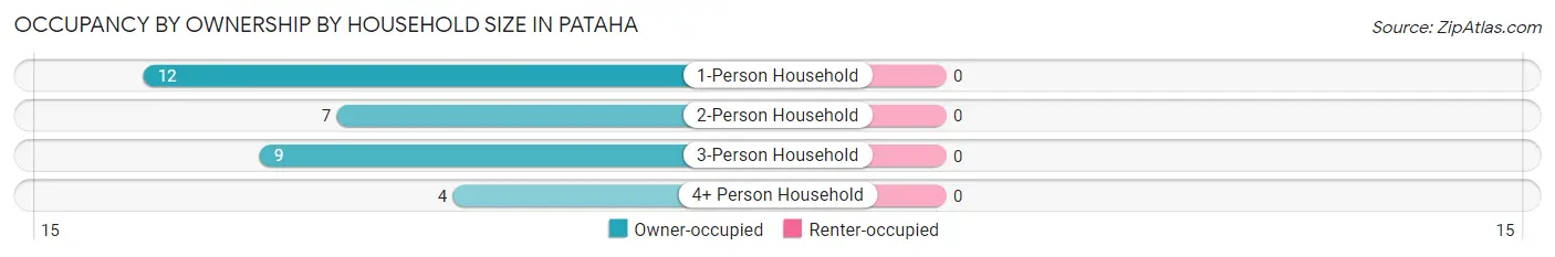 Occupancy by Ownership by Household Size in Pataha