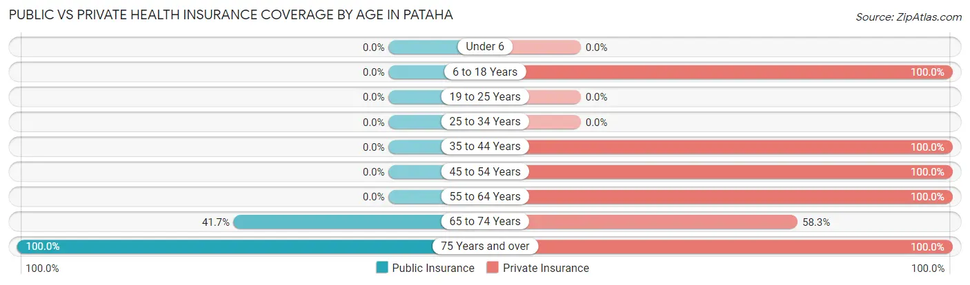 Public vs Private Health Insurance Coverage by Age in Pataha