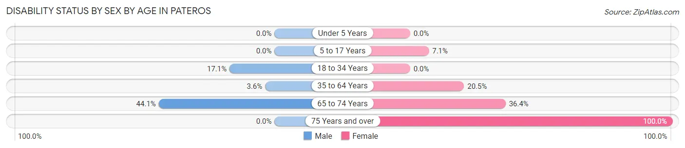 Disability Status by Sex by Age in Pateros