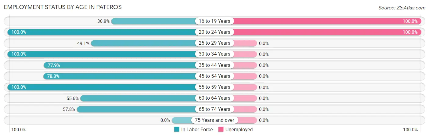 Employment Status by Age in Pateros