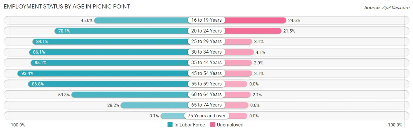 Employment Status by Age in Picnic Point