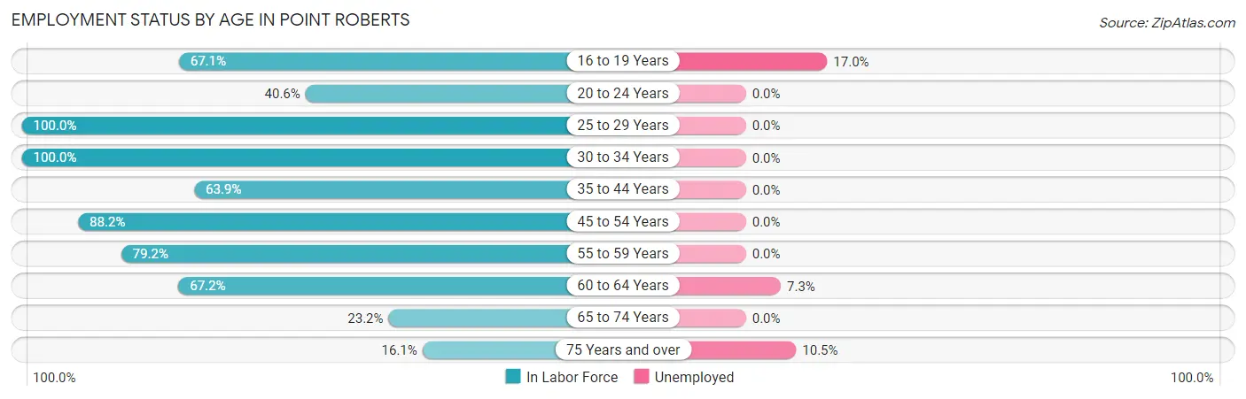 Employment Status by Age in Point Roberts