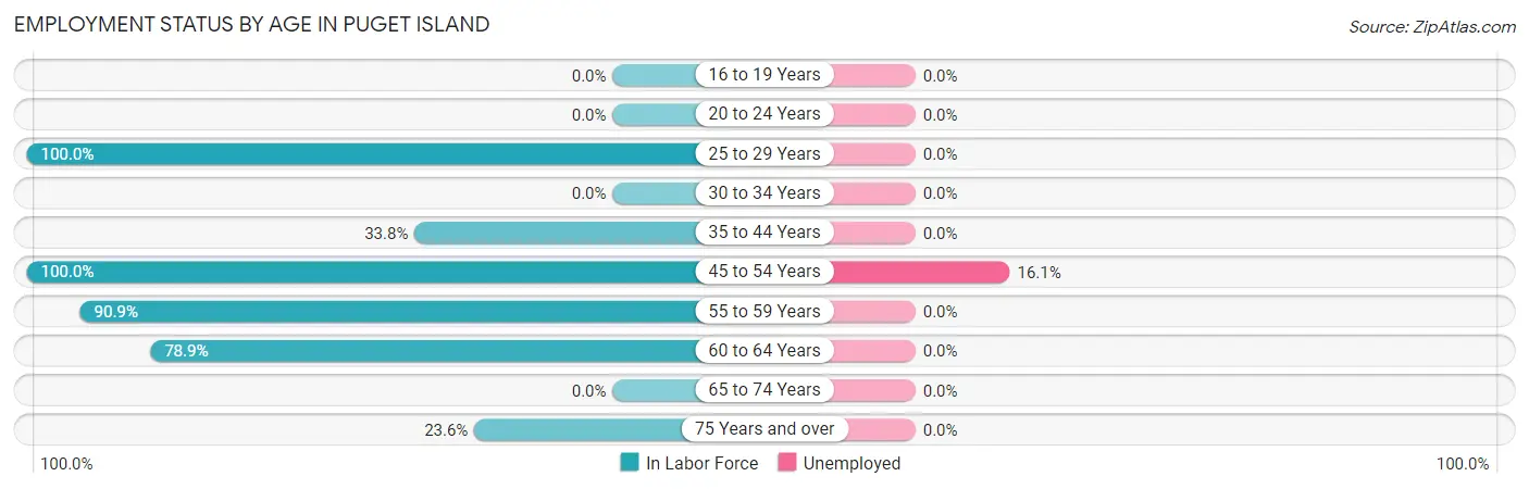 Employment Status by Age in Puget Island
