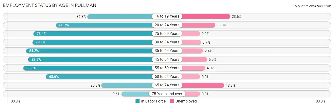 Employment Status by Age in Pullman
