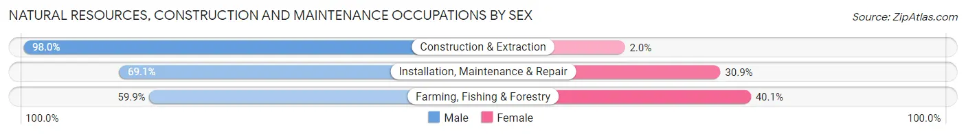 Natural Resources, Construction and Maintenance Occupations by Sex in Pullman