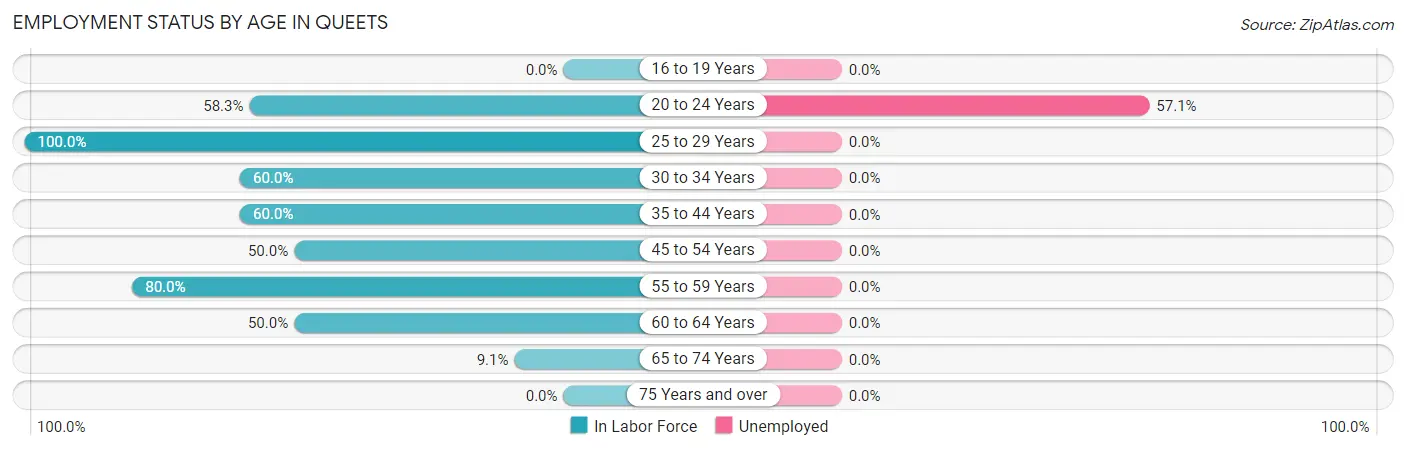 Employment Status by Age in Queets