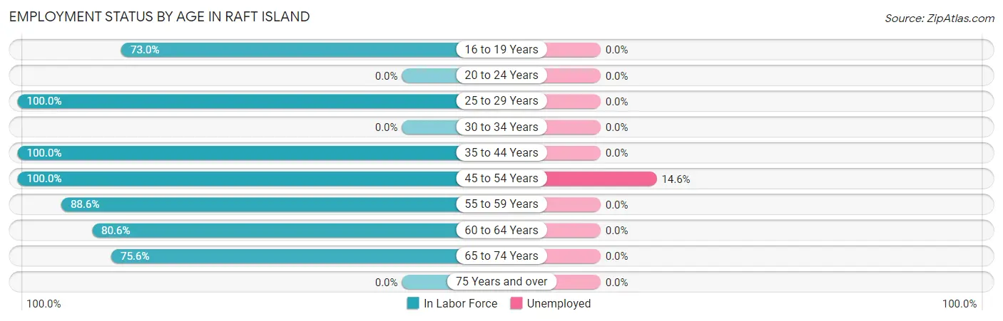 Employment Status by Age in Raft Island