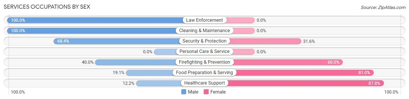 Services Occupations by Sex in Republic