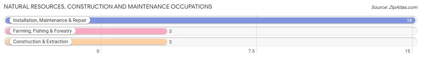 Natural Resources, Construction and Maintenance Occupations in Rosalia