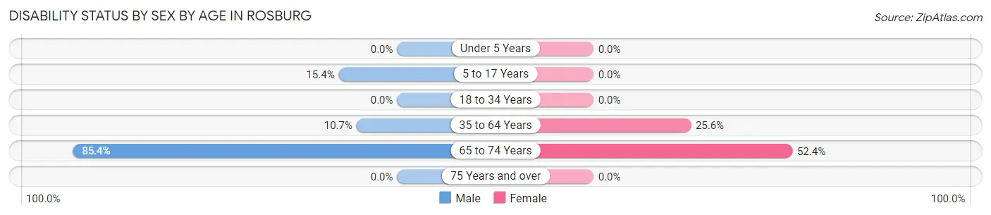 Disability Status by Sex by Age in Rosburg