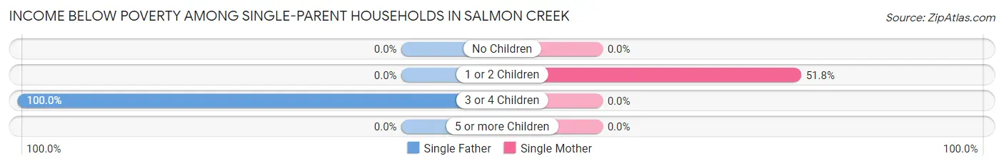 Income Below Poverty Among Single-Parent Households in Salmon Creek