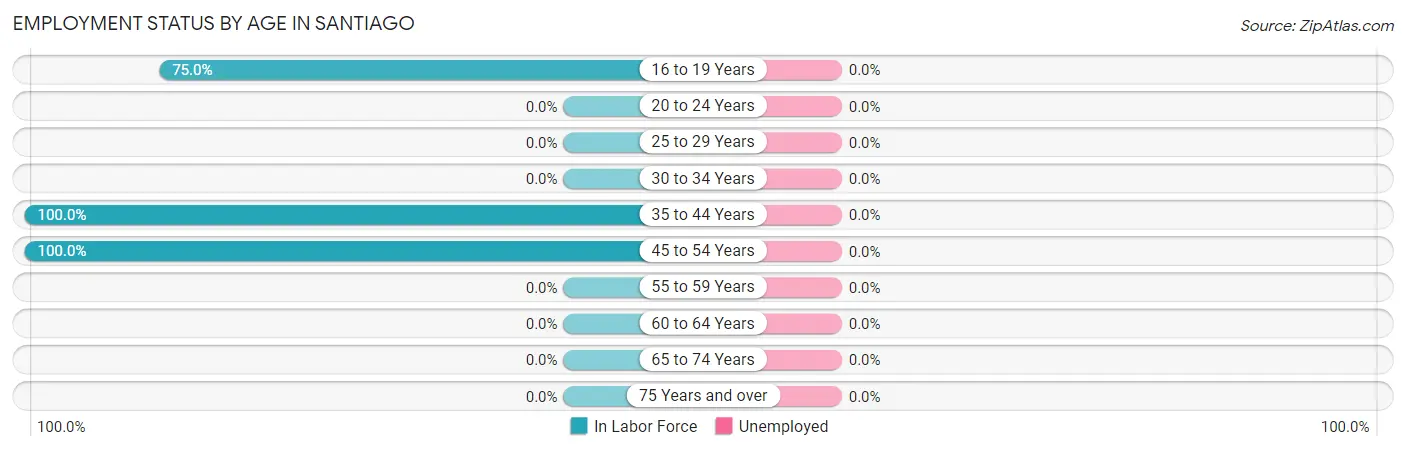 Employment Status by Age in Santiago