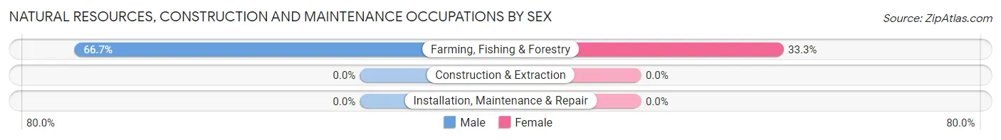 Natural Resources, Construction and Maintenance Occupations by Sex in Santiago