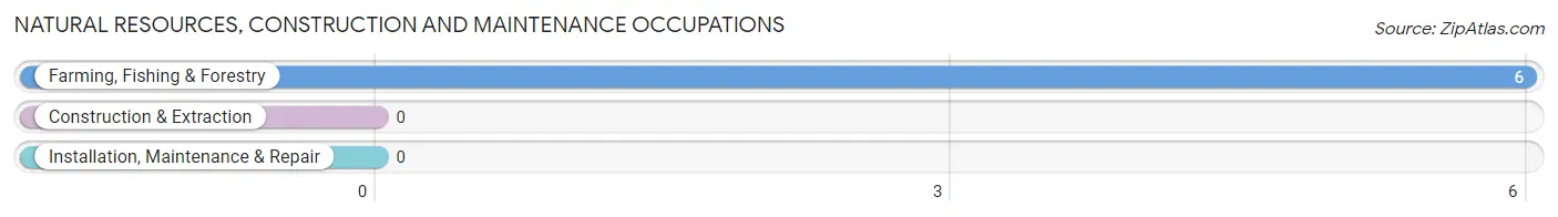 Natural Resources, Construction and Maintenance Occupations in Santiago