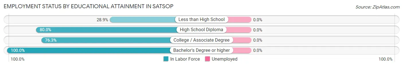 Employment Status by Educational Attainment in Satsop