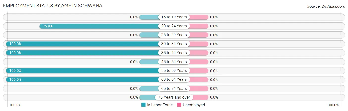 Employment Status by Age in Schwana