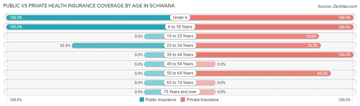 Public vs Private Health Insurance Coverage by Age in Schwana
