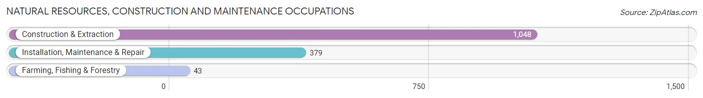 Natural Resources, Construction and Maintenance Occupations in SeaTac