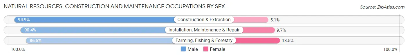 Natural Resources, Construction and Maintenance Occupations by Sex in Seattle