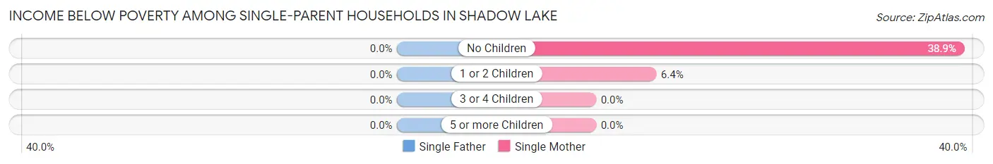 Income Below Poverty Among Single-Parent Households in Shadow Lake