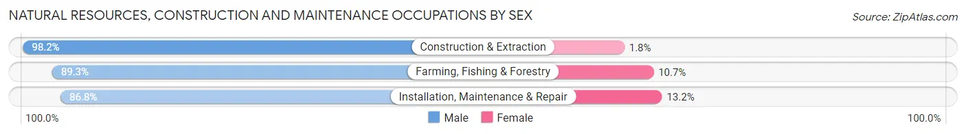 Natural Resources, Construction and Maintenance Occupations by Sex in Shelton