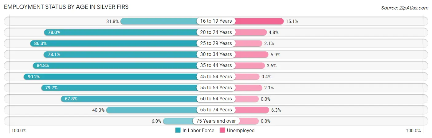 Employment Status by Age in Silver Firs