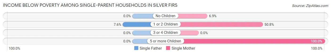 Income Below Poverty Among Single-Parent Households in Silver Firs