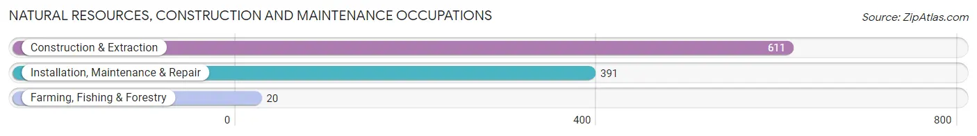 Natural Resources, Construction and Maintenance Occupations in Silverdale