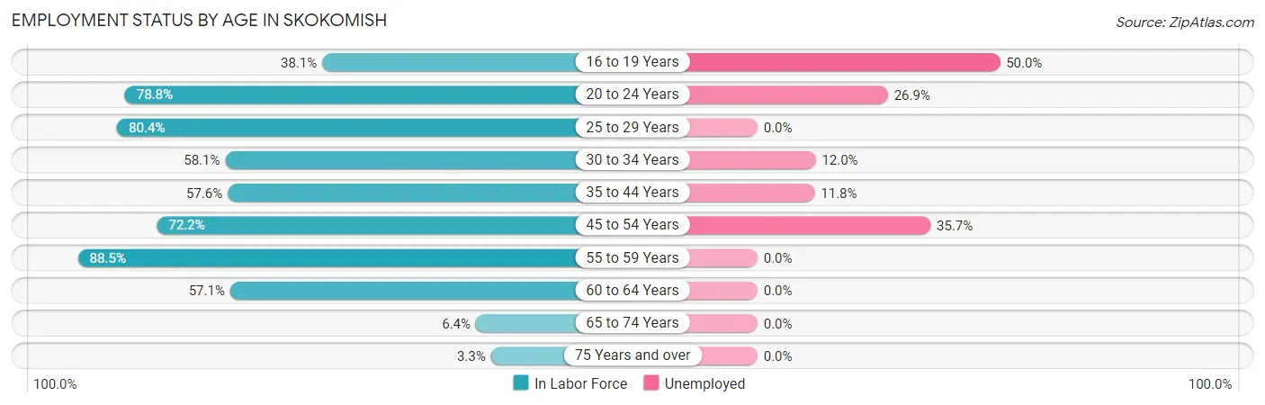 Employment Status by Age in Skokomish