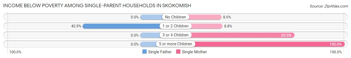 Income Below Poverty Among Single-Parent Households in Skokomish