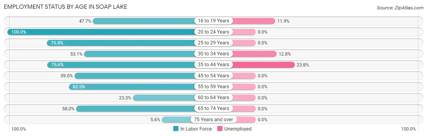 Employment Status by Age in Soap Lake