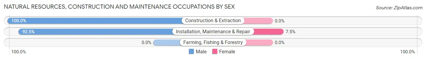 Natural Resources, Construction and Maintenance Occupations by Sex in South Creek