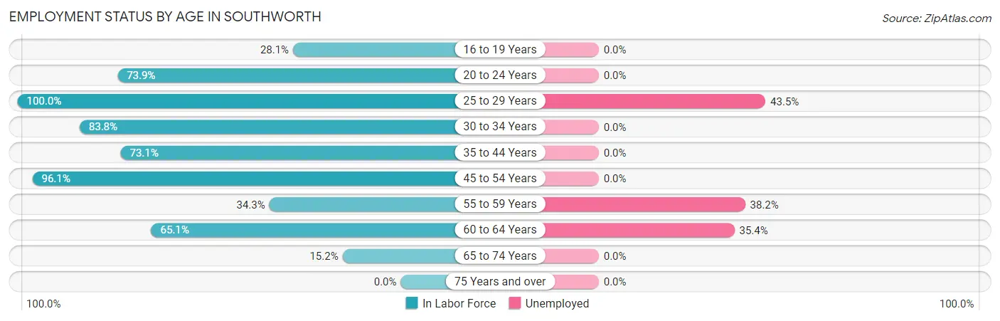 Employment Status by Age in Southworth