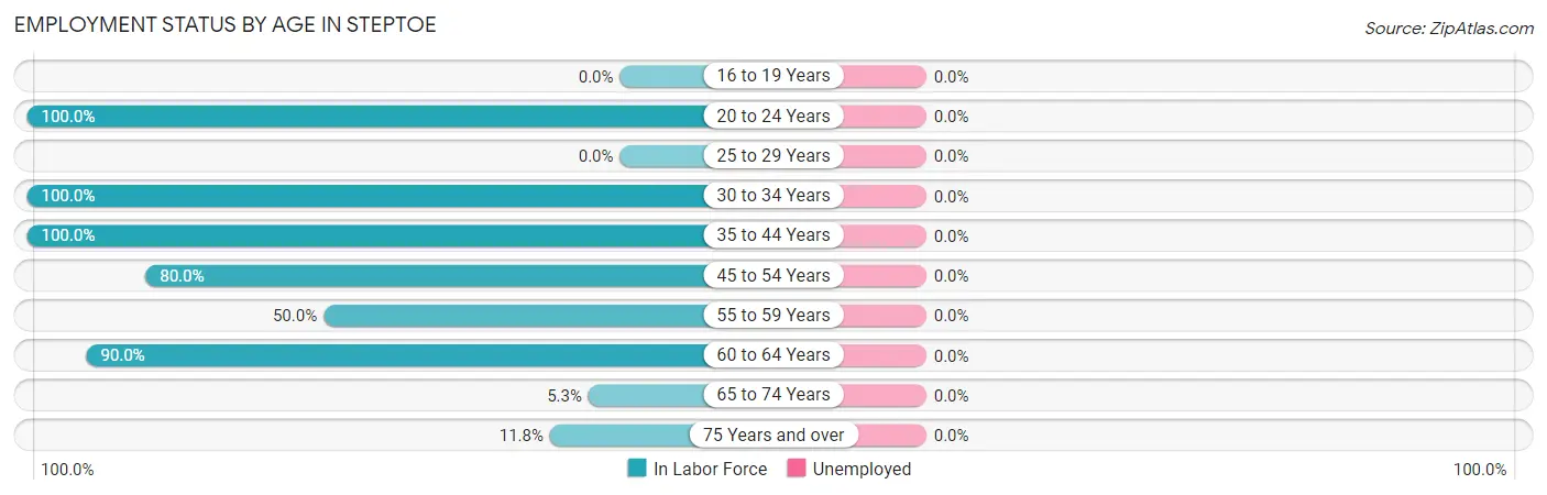Employment Status by Age in Steptoe