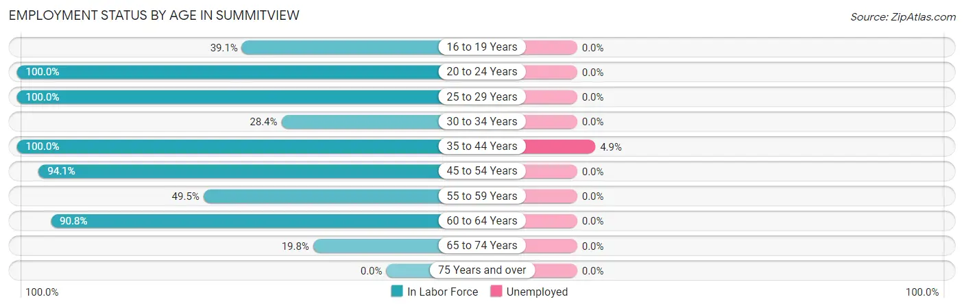 Employment Status by Age in Summitview