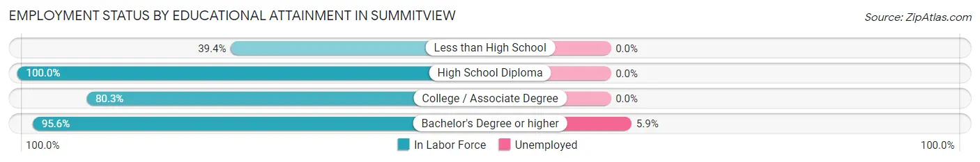 Employment Status by Educational Attainment in Summitview