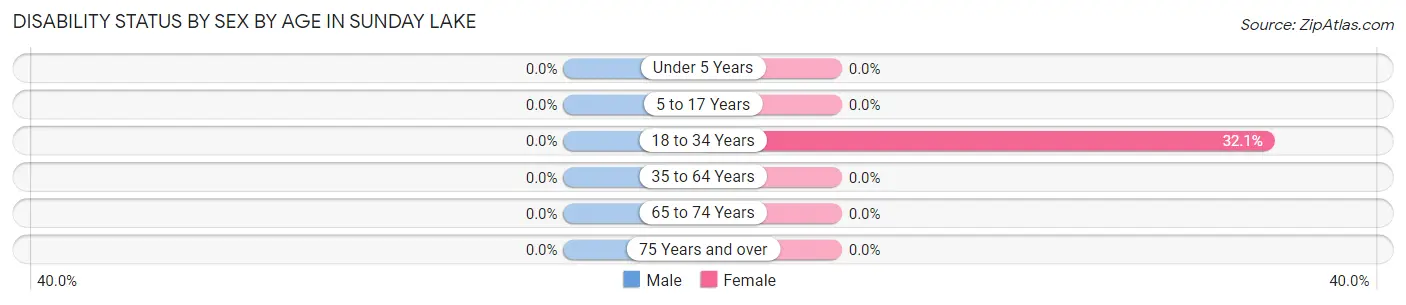 Disability Status by Sex by Age in Sunday Lake